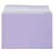 JAM Paper 5.063" x 7.188" Cello Sleeves with Self Adhesive Closures, 100ct.